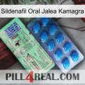 Sildenafil Oral Jelly Kamagra new02